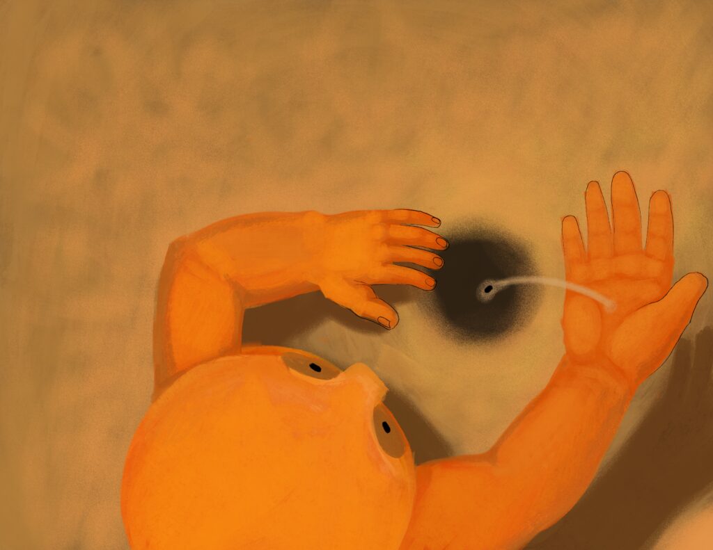 Planting the Seed
