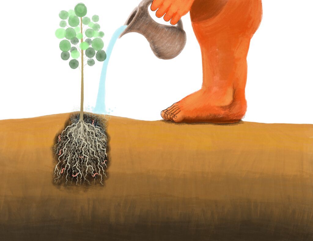 Watering the young tree