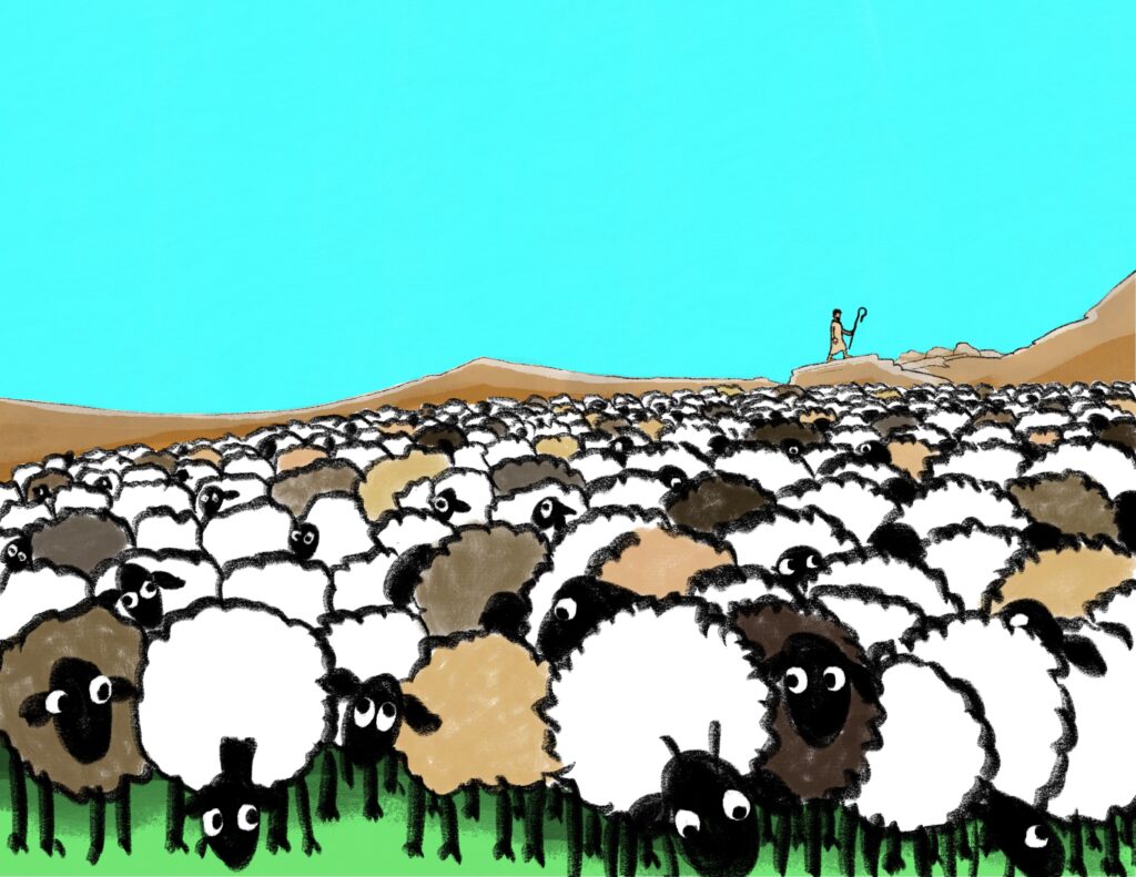 Big flock