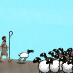 Middle size flock