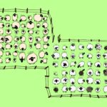 Large flock