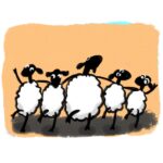 Small flock 1